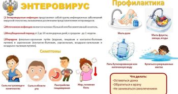 Хабаровчанам напоминают о мерах профилактики энтеровирусных инфекций