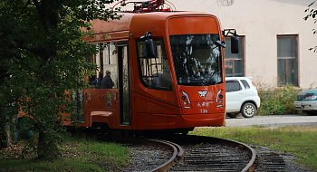 img-1