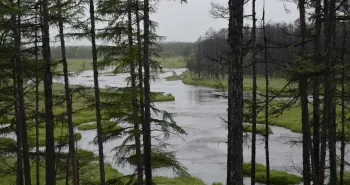 Лучшие снимки природы и фильмы о путешествиях могут увидеть хабаровчане